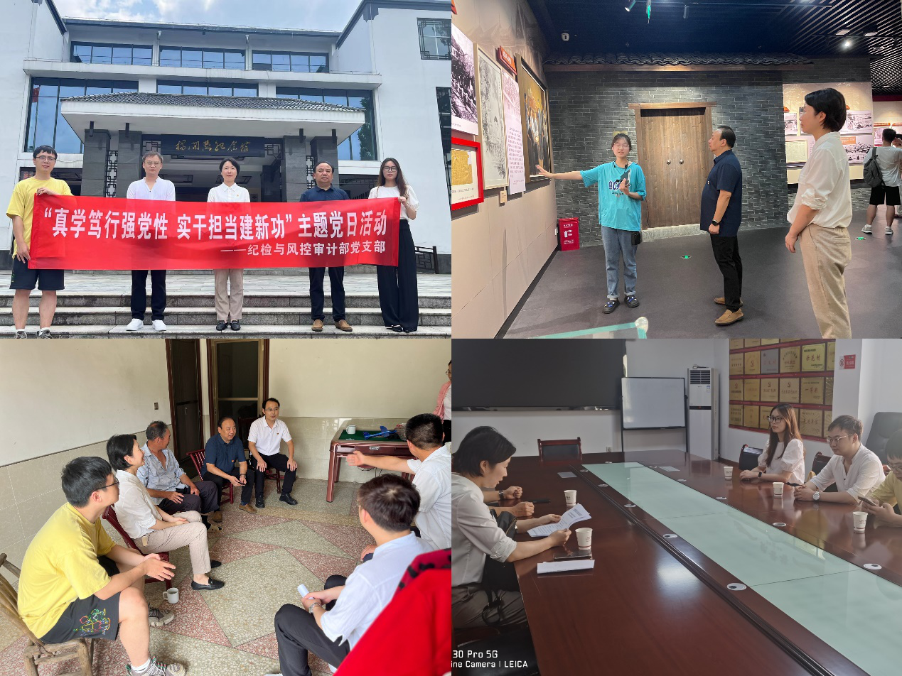 湖南發(fā)展紀(jì)檢與風(fēng)控審計部黨支部開展“真學(xué)篤行強黨性 實干擔(dān)當(dāng)建新功”主題黨日活動