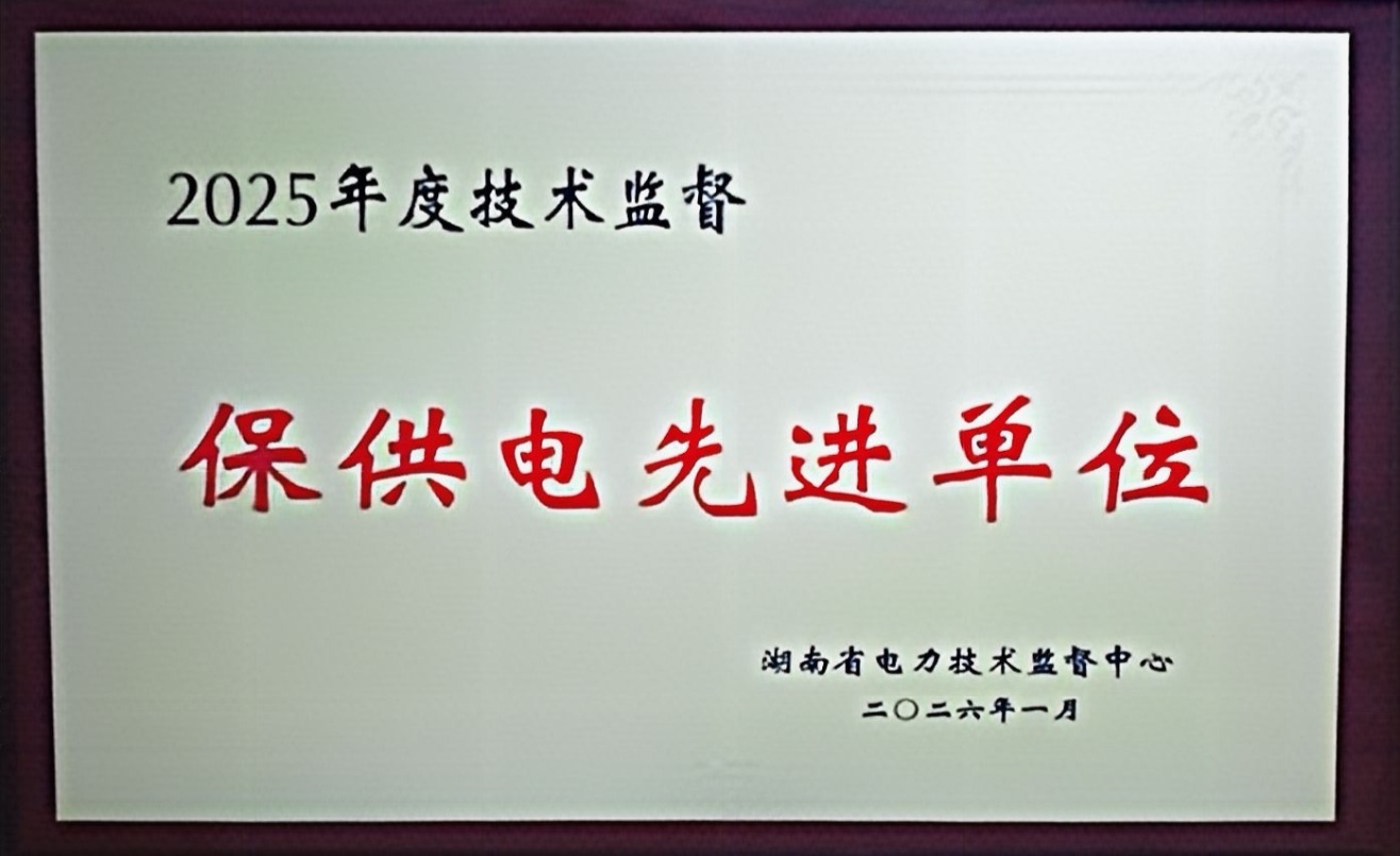 十年深耕保供電 匠心護(hù)航獲殊榮——蟒塘溪水電站榮獲2025年度“保供電先進(jìn)單位”